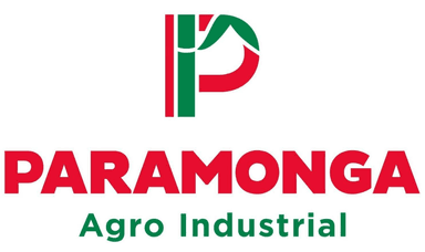 Logo de Paramonga