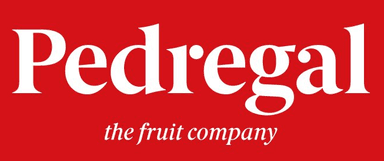 Logo de Pedregal